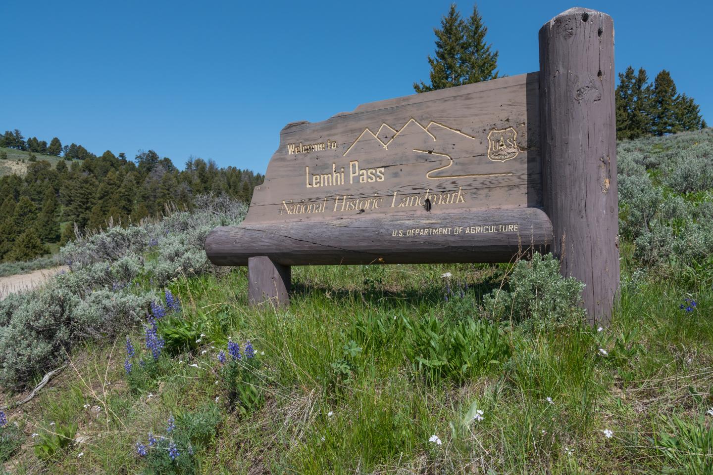 Wooden park sign amidst green grass and wildflowers, under a clear blue sky.