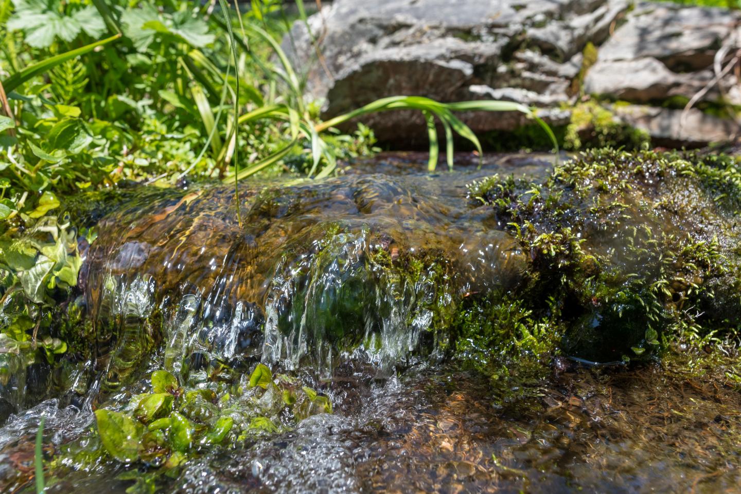 Small waterfall over mossy rocks with surrounding greenery.