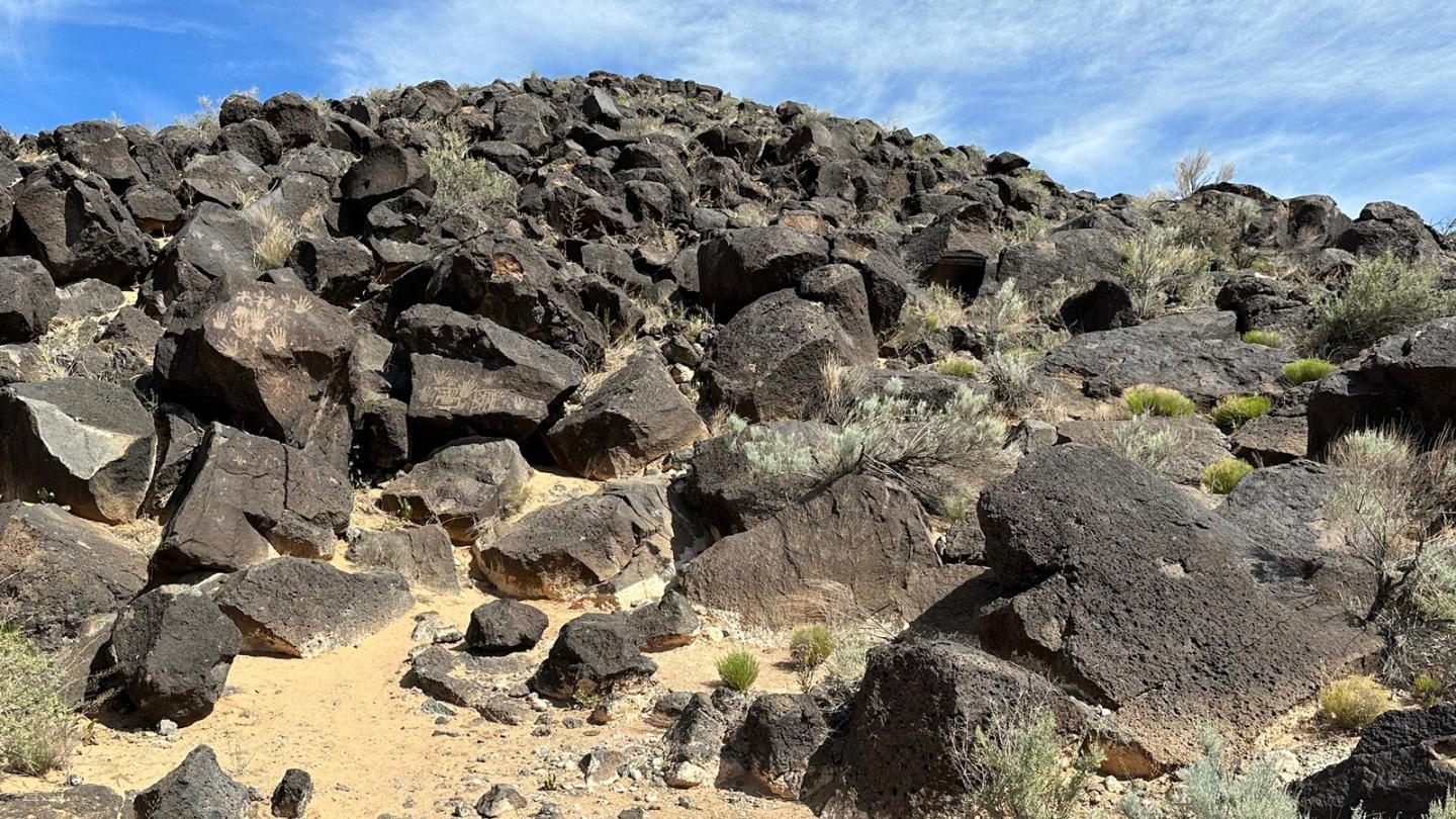 Rocky hillside with scattered shrubs under a blue sky.