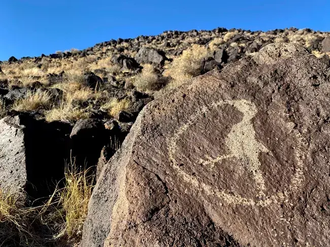 Rock with a bird petroglyph, dry grass, rocky hillside, clear blue sky.