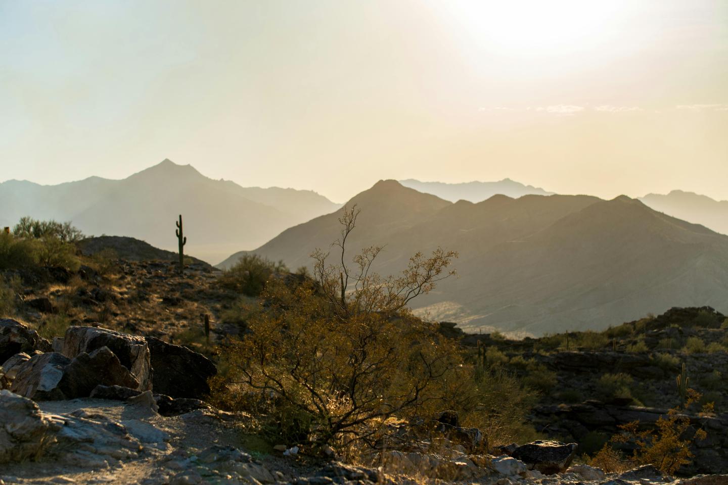 Desert landscape with distant mountains and setting sun.