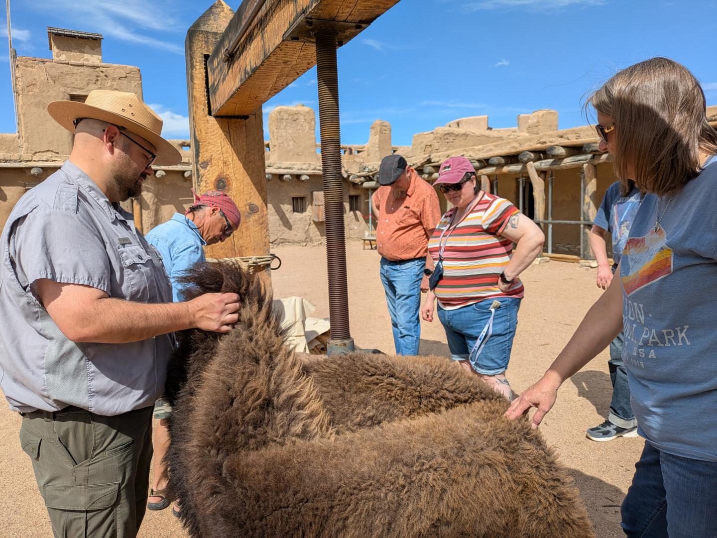 People petting a brown alpaca in a sunny outdoor setting.