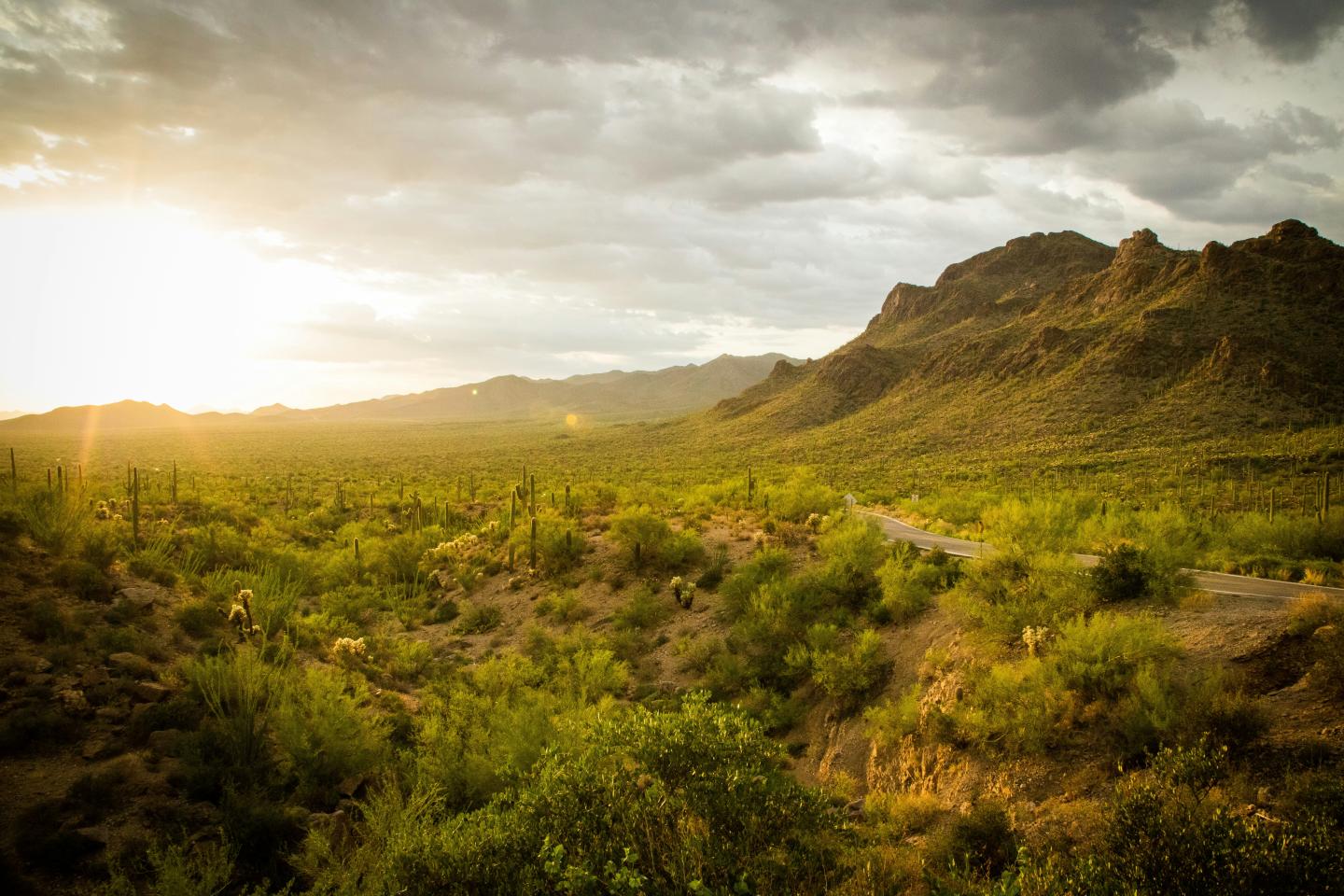 Desert landscape with mountains at sunset, cloudy sky.