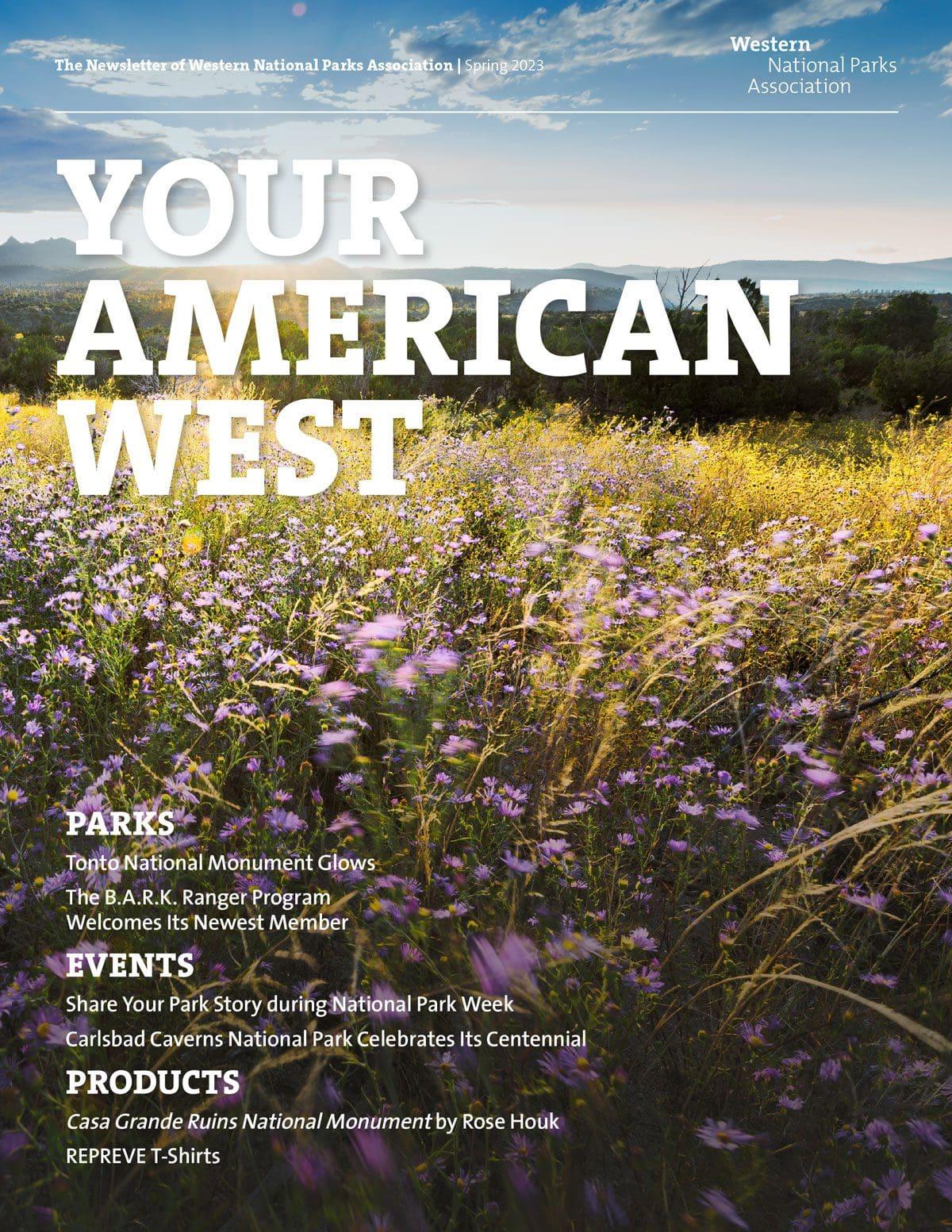 Field of purple wildflowers under a blue sky with clouds. Magazine cover art.