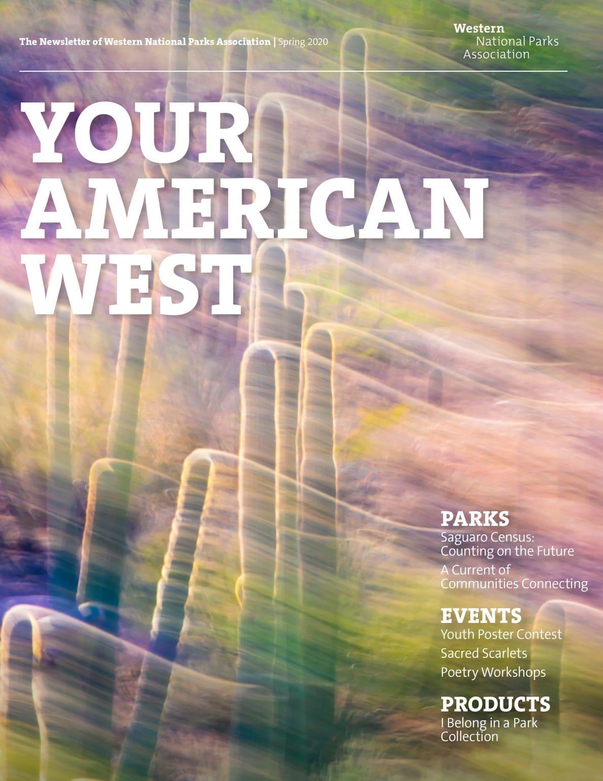 Blurred desert landscape with soft colors and cactus outlines on a magazine cover.