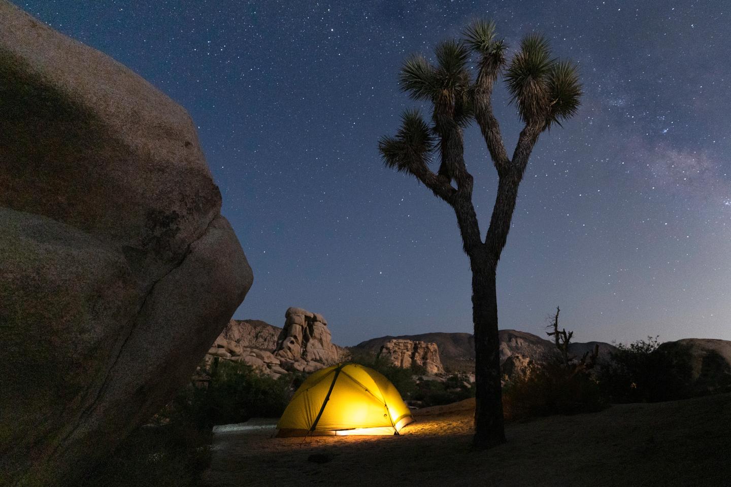 Yellow tent illuminated at night under a starry sky, near a large tree and boulders.