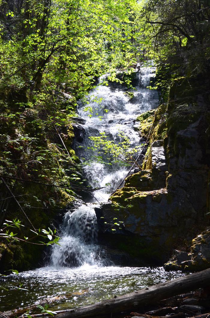 Waterfall cascading down mossy rocks surrounded by lush green foliage.