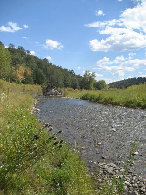 A tranquil stream winds through a grassy meadow under a bright, cloudy sky.