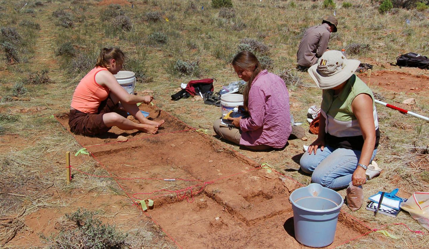 Four people conducting an archaeological dig in a dry, grassy area.