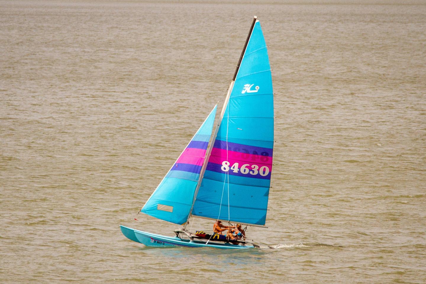 Bright blue sailboat with purple stripe on open water.