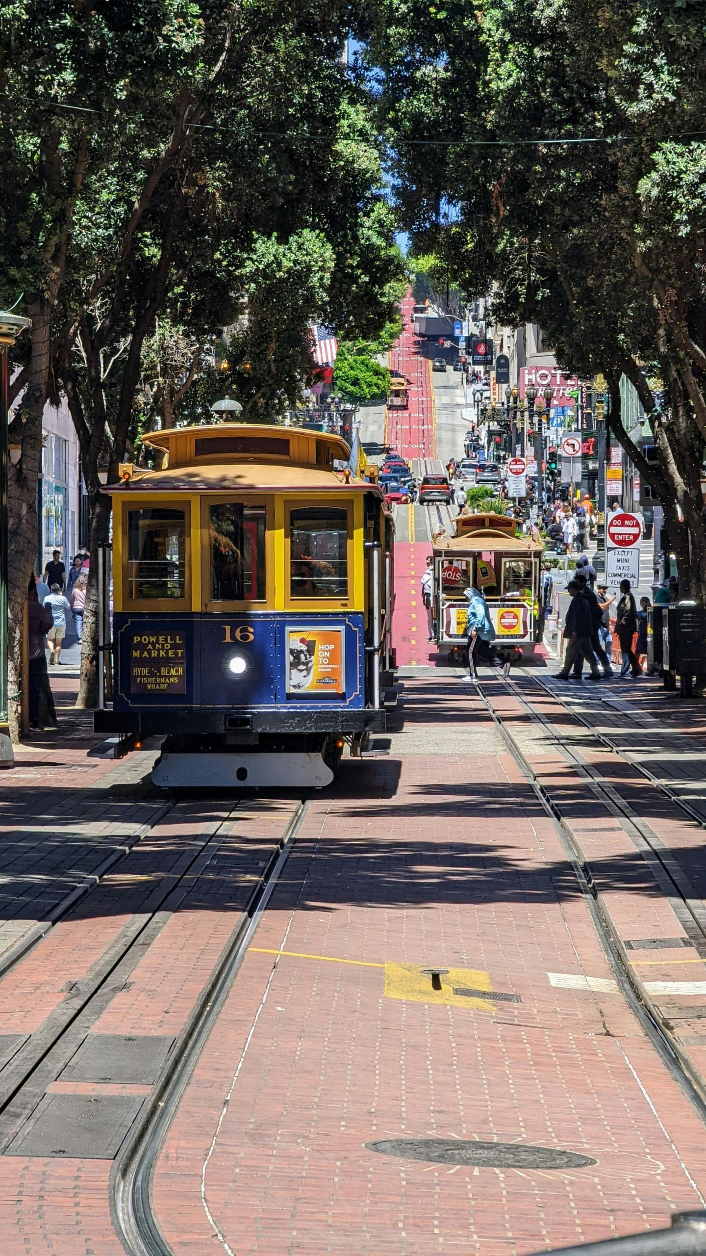 Yellow and blue tram on a tree-lined street in sunny weather.