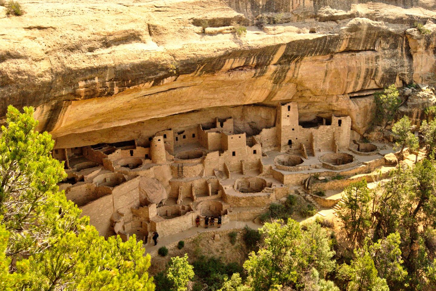 Ancient cliff dwellings nestled under a large rock overhang, surrounded by trees.