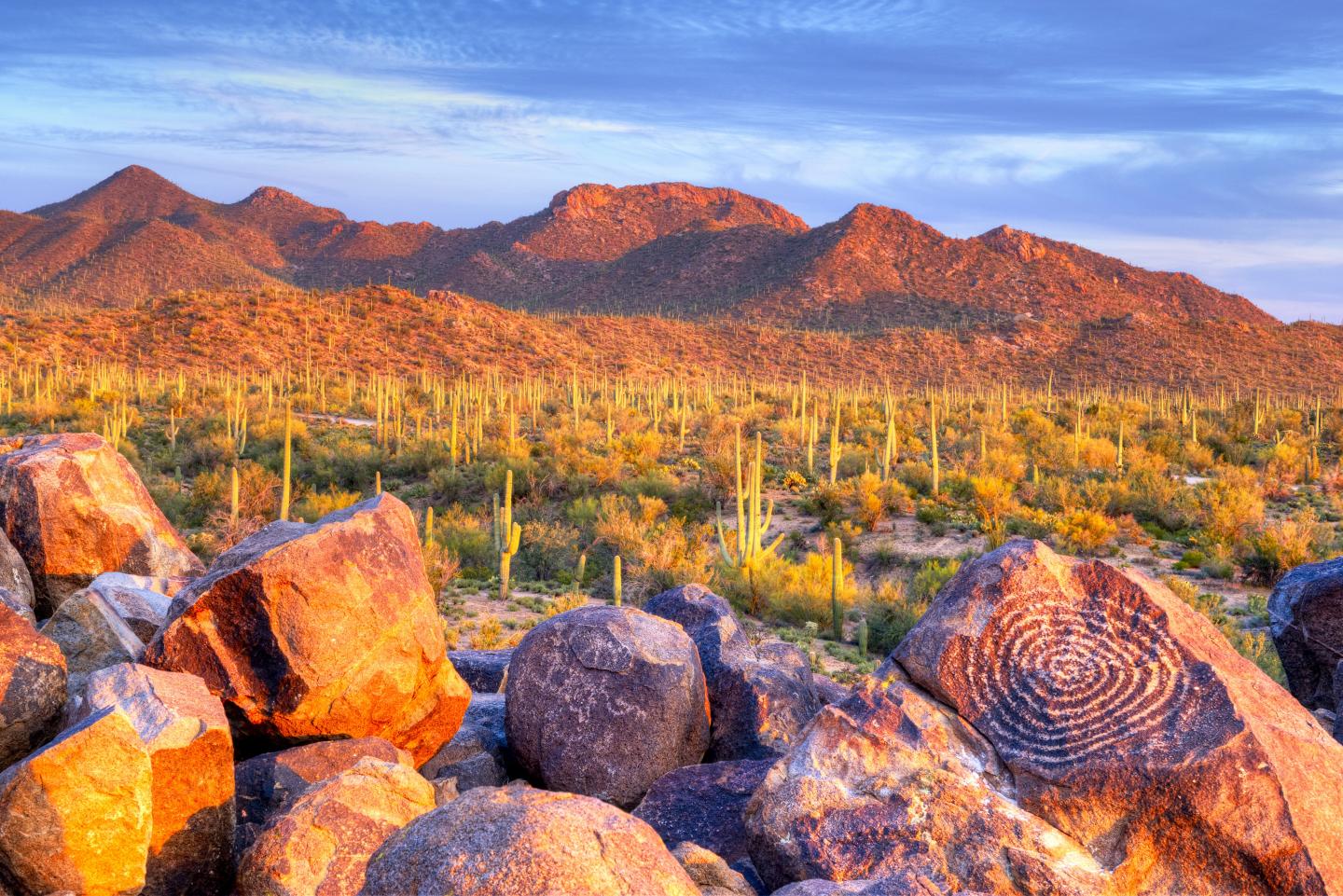 Desert landscape with saguaro cacti, rocky foreground, and distant mountains at sunset.