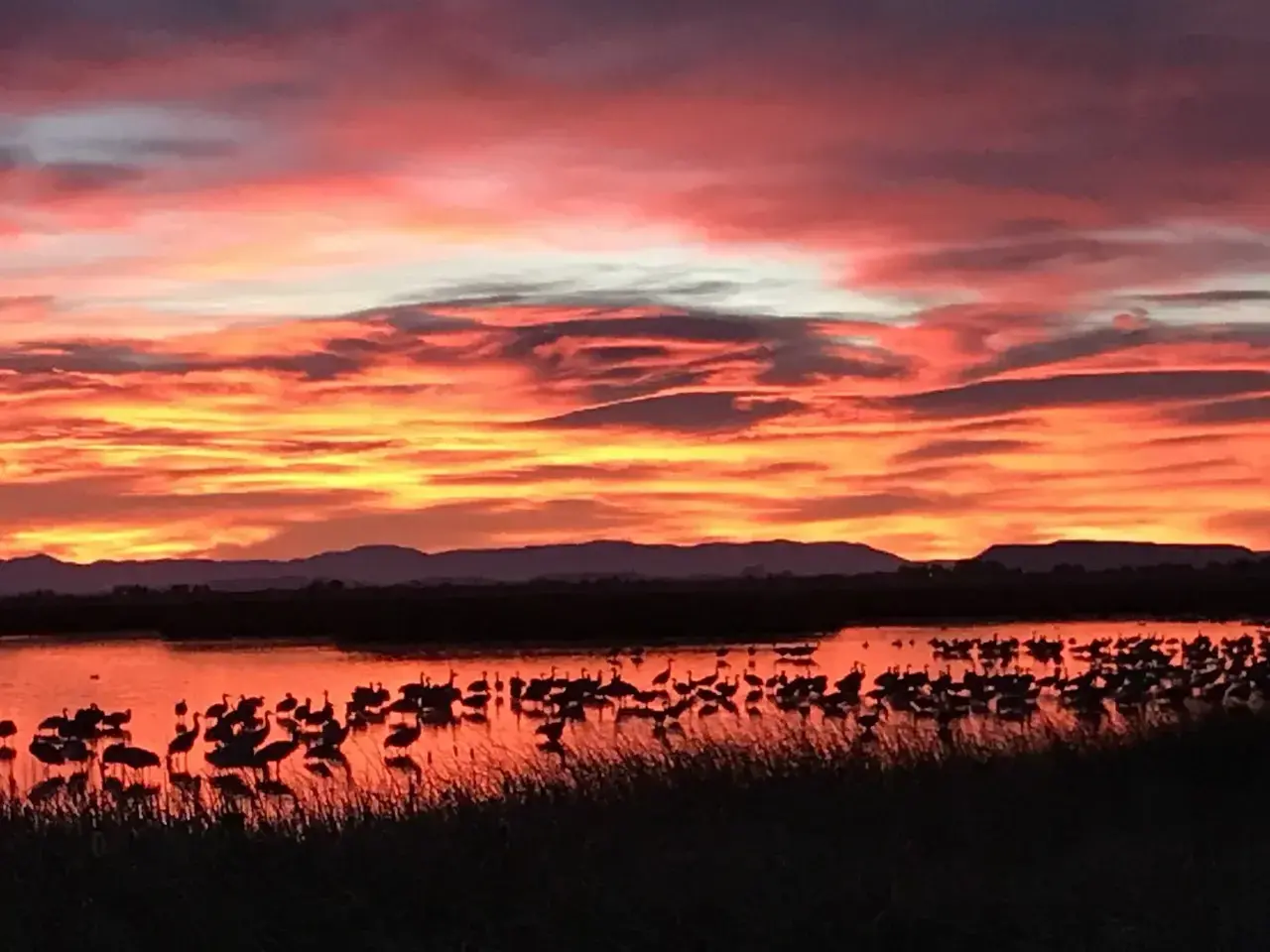 Fiery sunset over water with silhouetted birds and distant mountains at Monte Vista National Wildlife Refuge