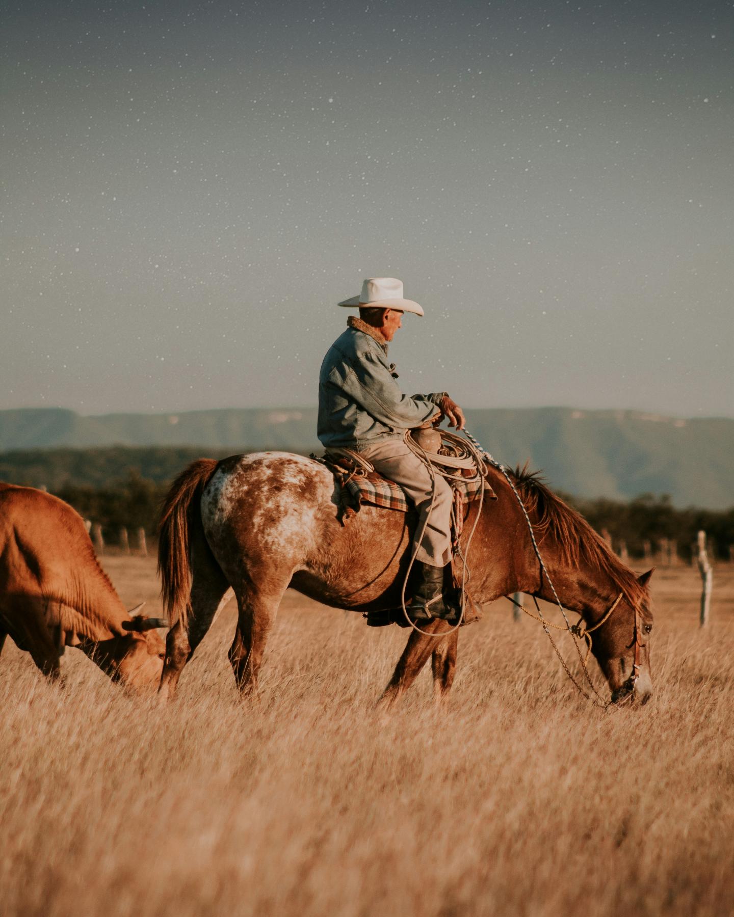 Cowboy on horseback in grassy field with mountains in background.
