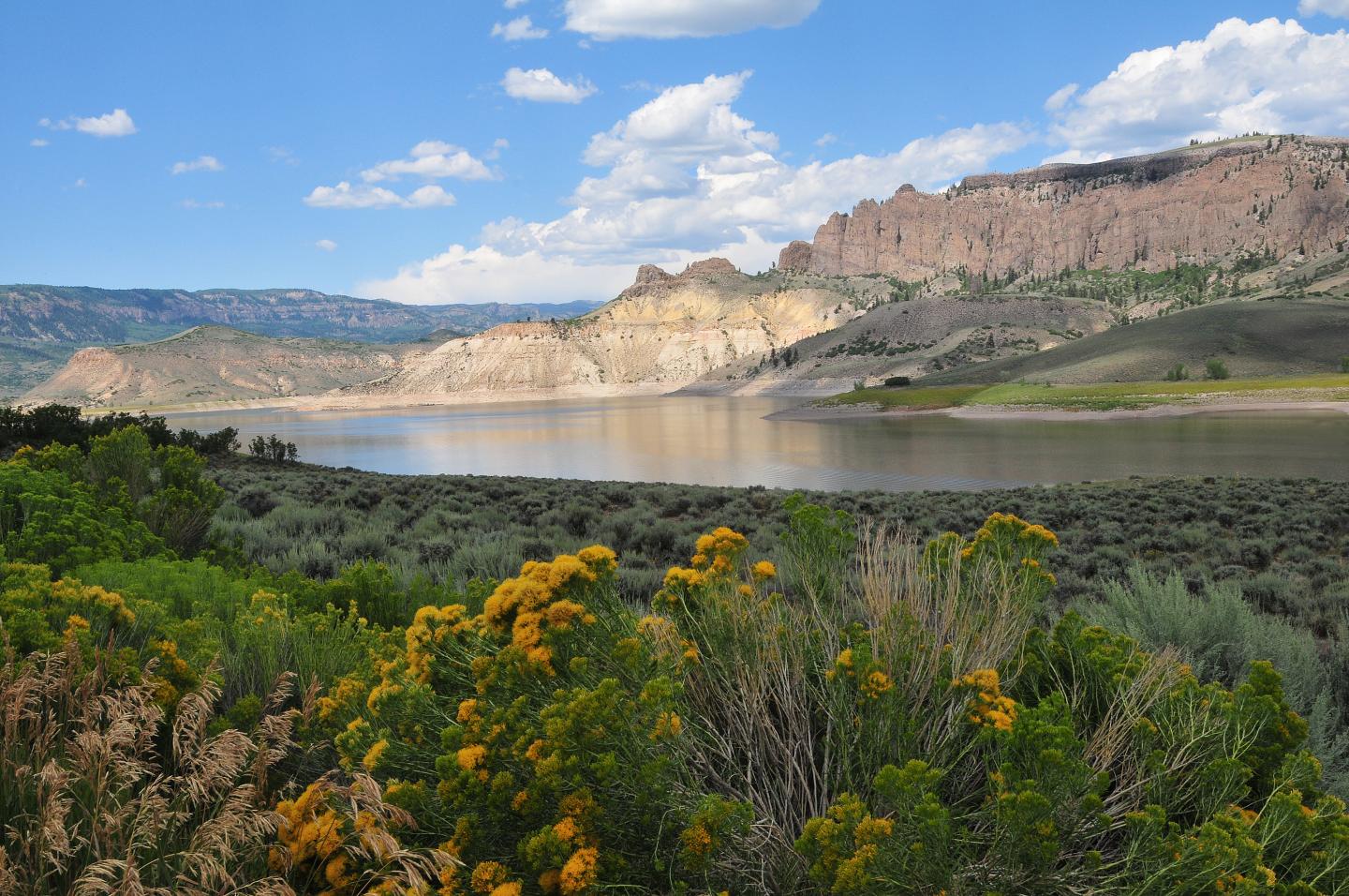A serene lake with distant rocky hills under a blue sky, framed by lush green and yellow foliage.