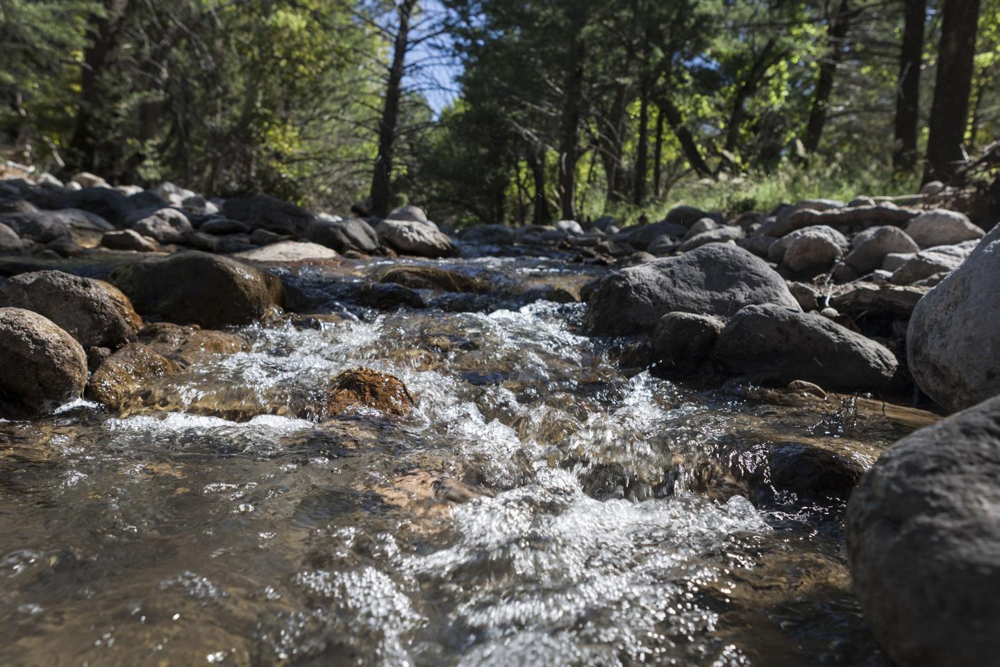 Flowing stream with rocks and trees under a clear blue sky.