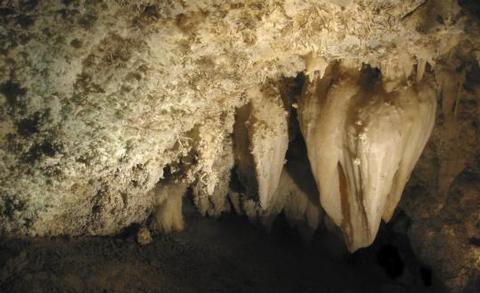 Stalactites hanging in a dimly lit cave ceiling.