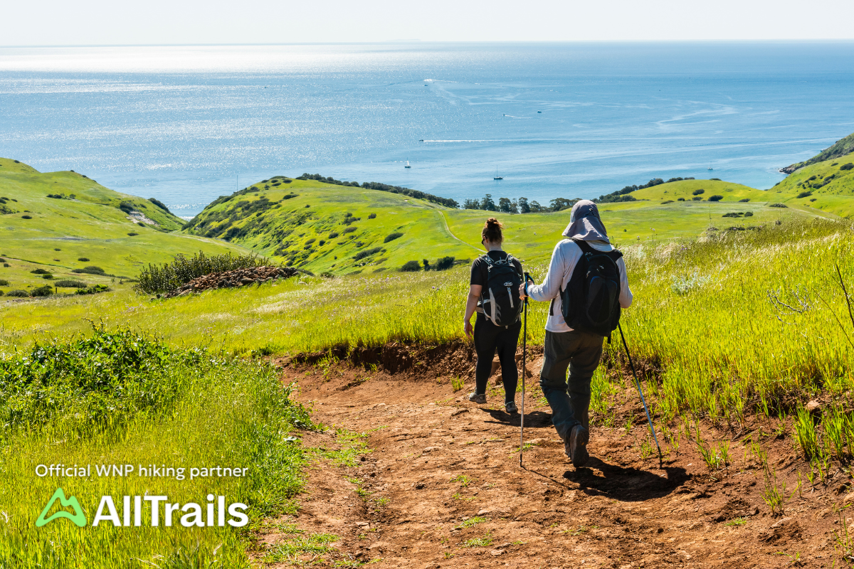 Hikers on a trail with ocean and greenery in the background.
