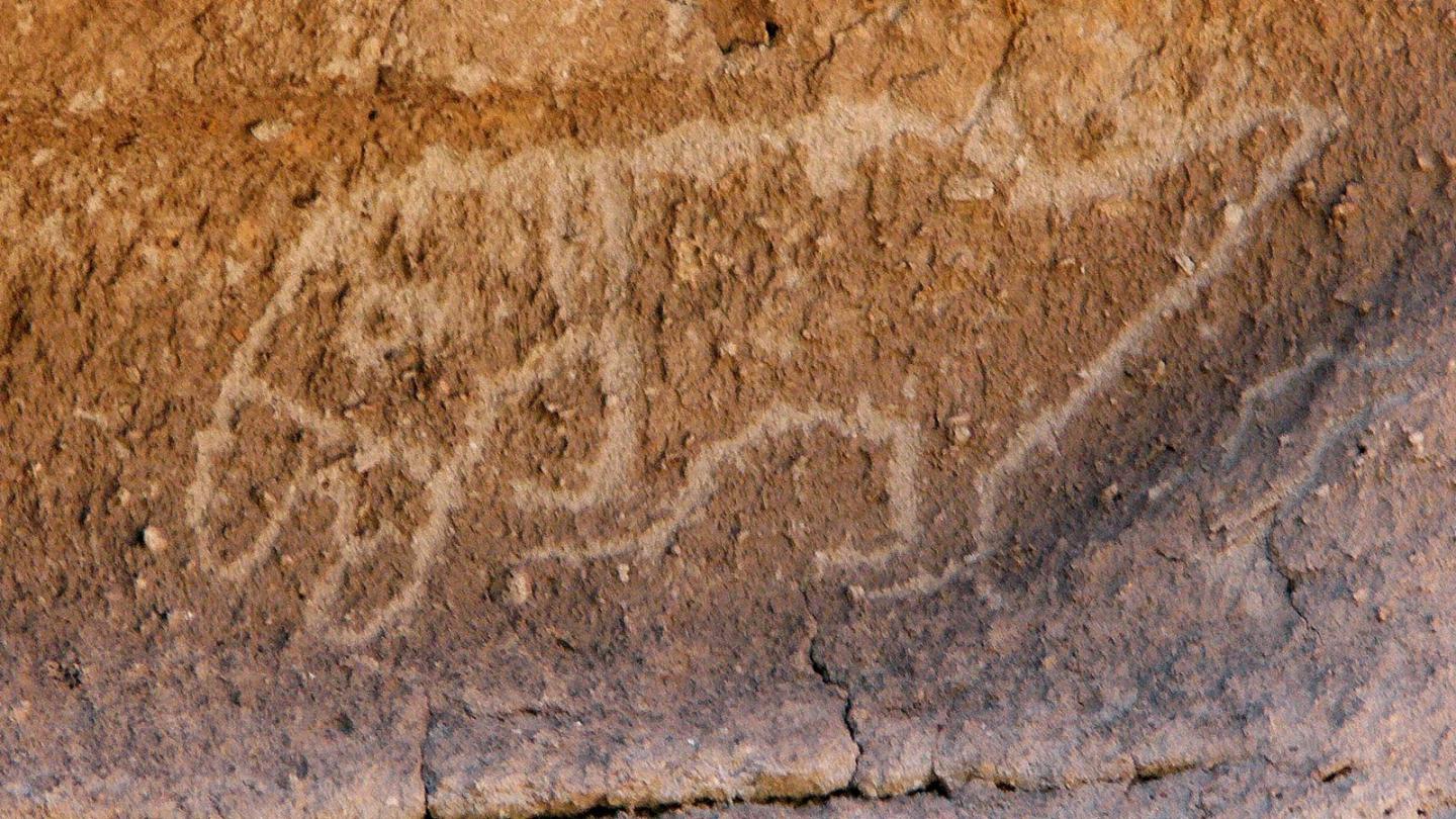 Ancient animal petroglyph etched on a rock surface.