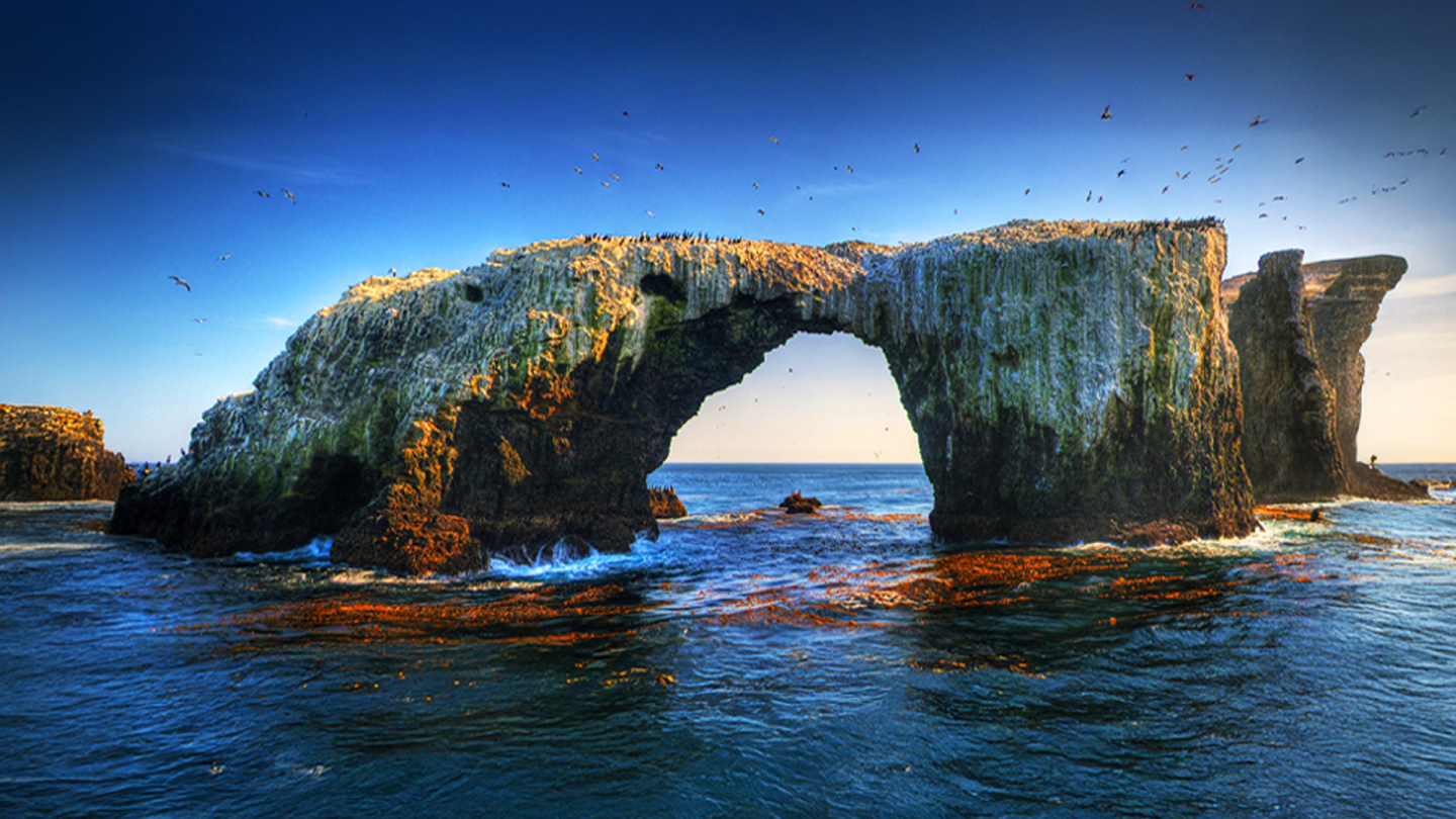 Coastal arch rock formation with birds and waves under a blue sky.