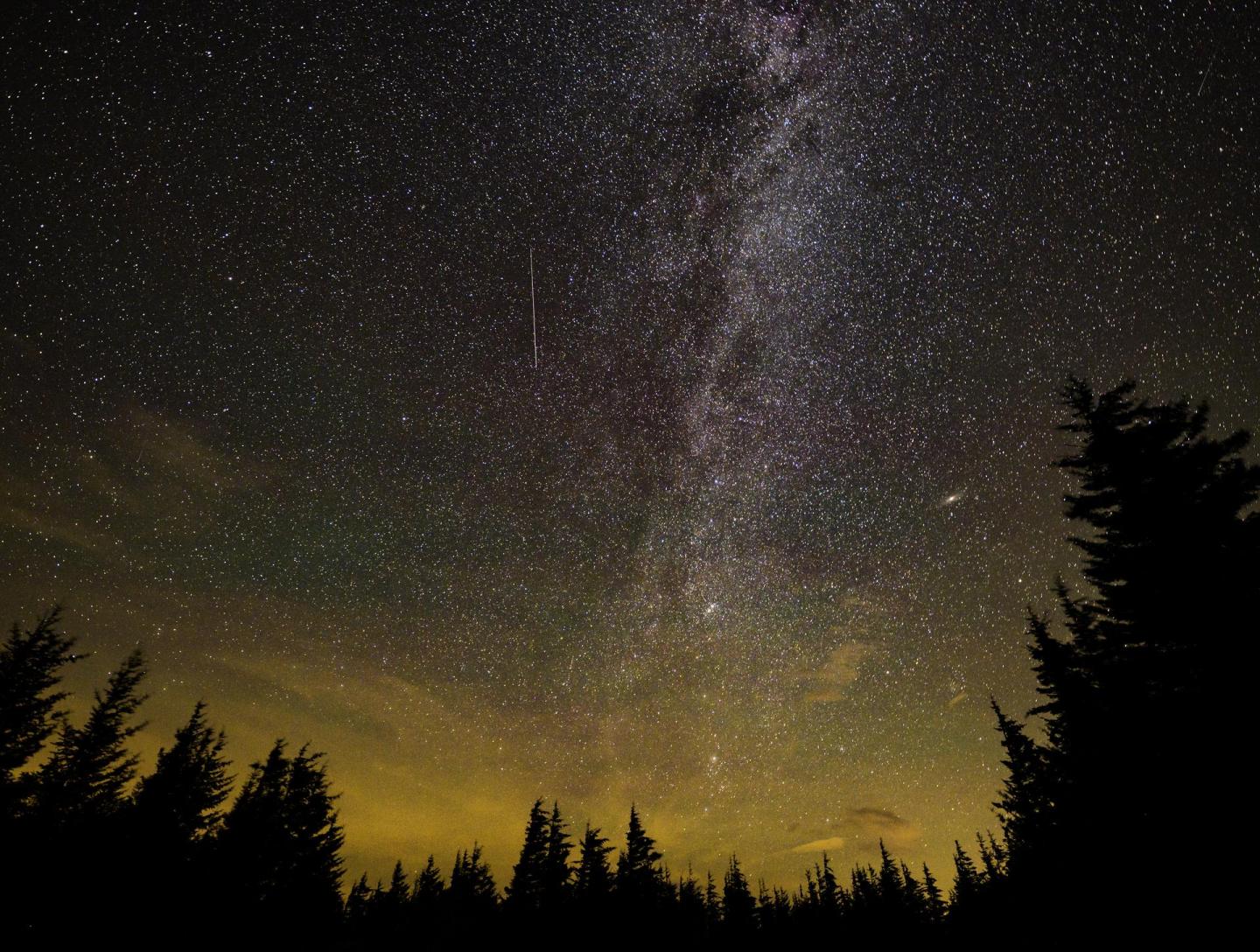Starry night sky with the Milky Way over silhouetted trees.