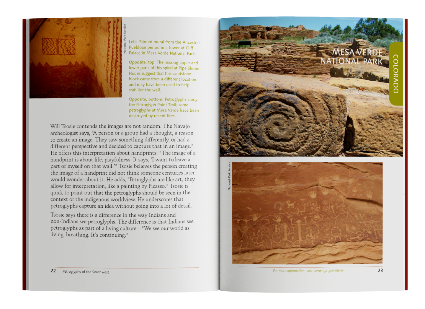 Open book with images of ancient rock carvings and spiral patterns.