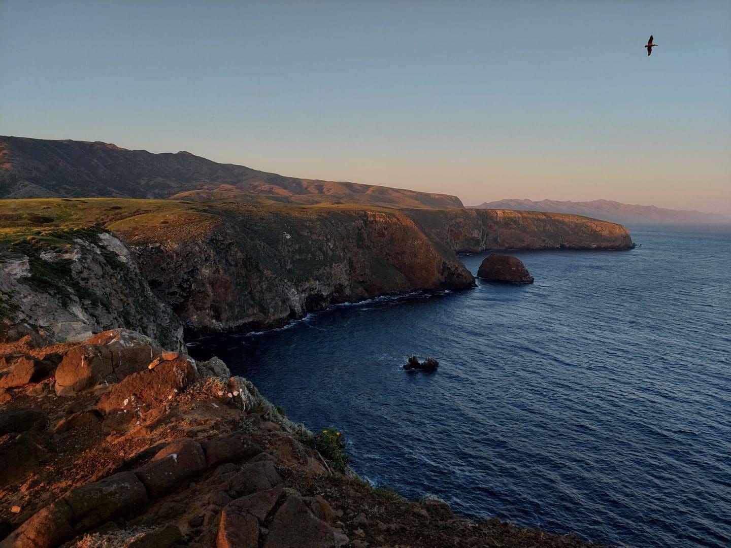 Coastal landscape at sunset, cliffs and ocean with a distant bird.