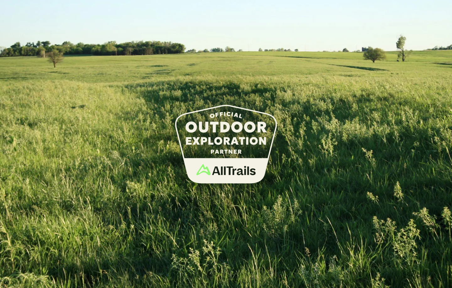 Sunny green field with logo over the grass, trees on horizon.