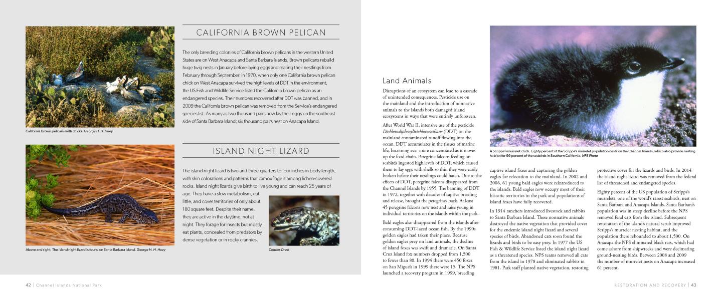 Open book with photos of various animals and descriptive text.
