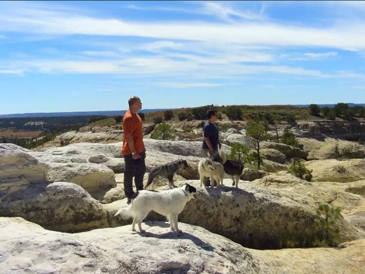 Two people with dogs stand on rocky terrain under a blue sky.