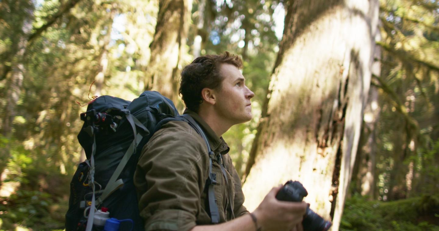 Man in forest with a backpack, looking up, sunlight filtering through trees.
