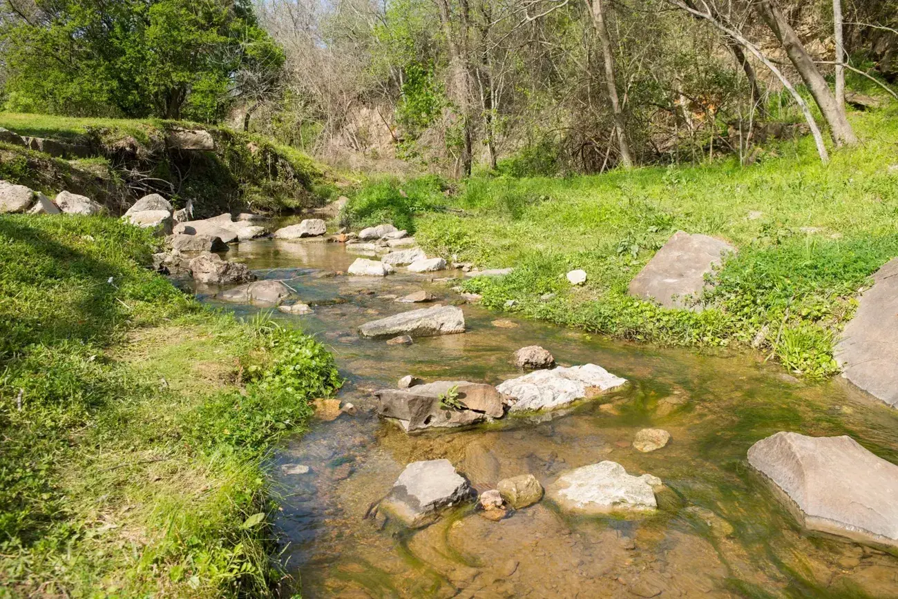 A gentle stream flowing through a grassy area with rocks and trees.