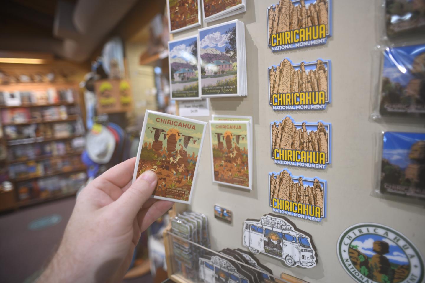 Hand holding a vintage postcard in a souvenir shop with various colorful magnets.