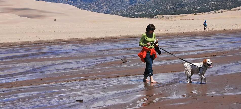 Person walking a dog on a sandy beach with shallow water.