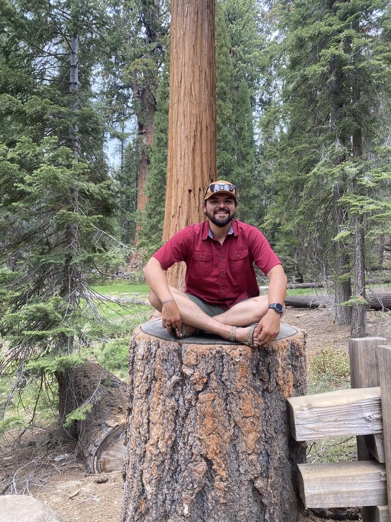 Man smiling while sitting on a tree stump in a forest.