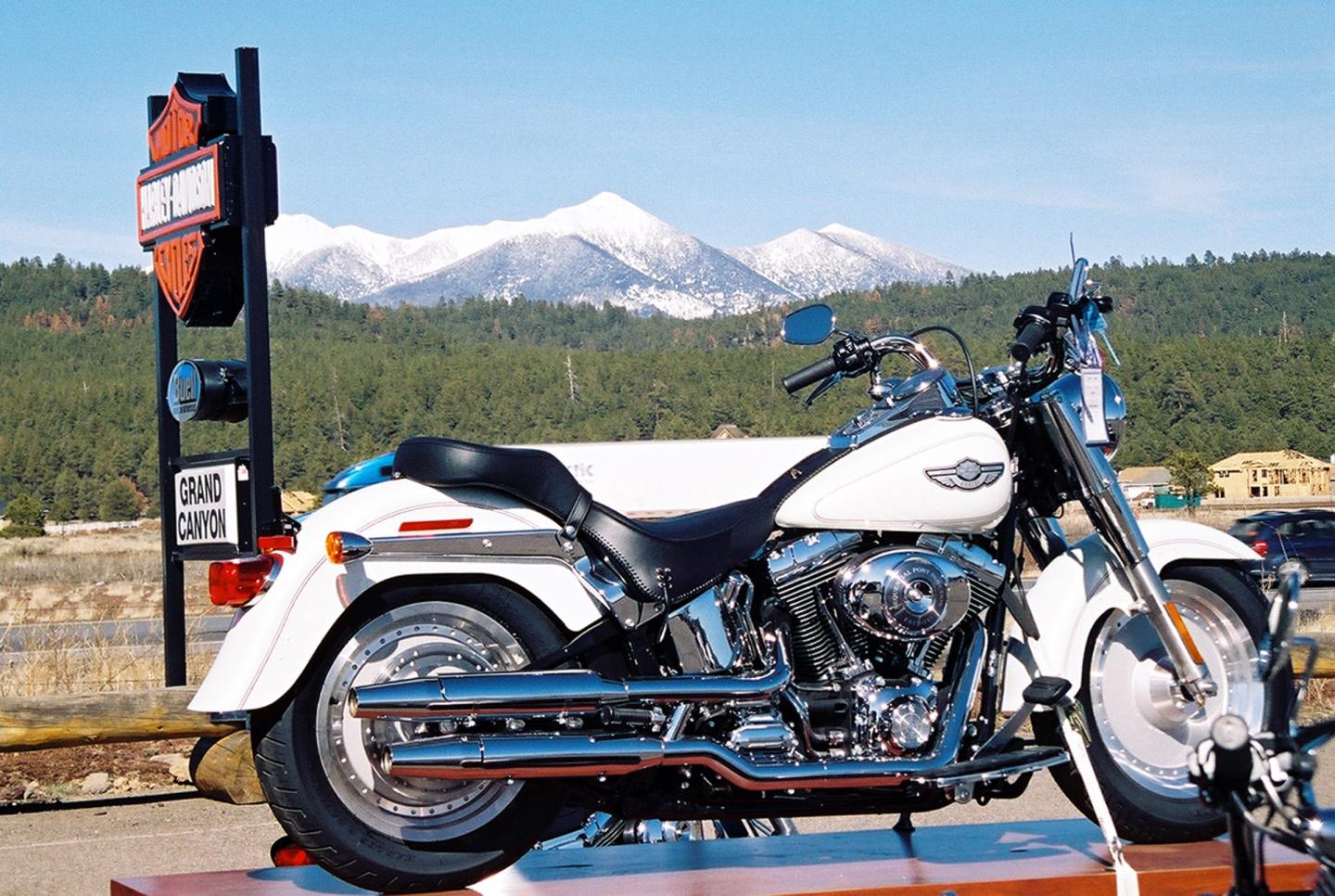 White motorcycle parked with snowy mountains in the background.