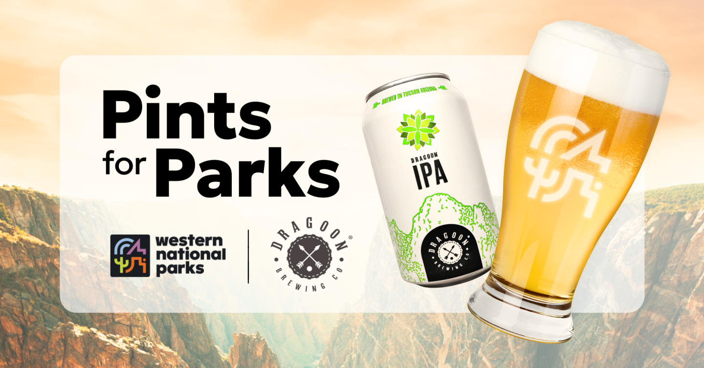 Beer can and pint glass with park imagery in background.