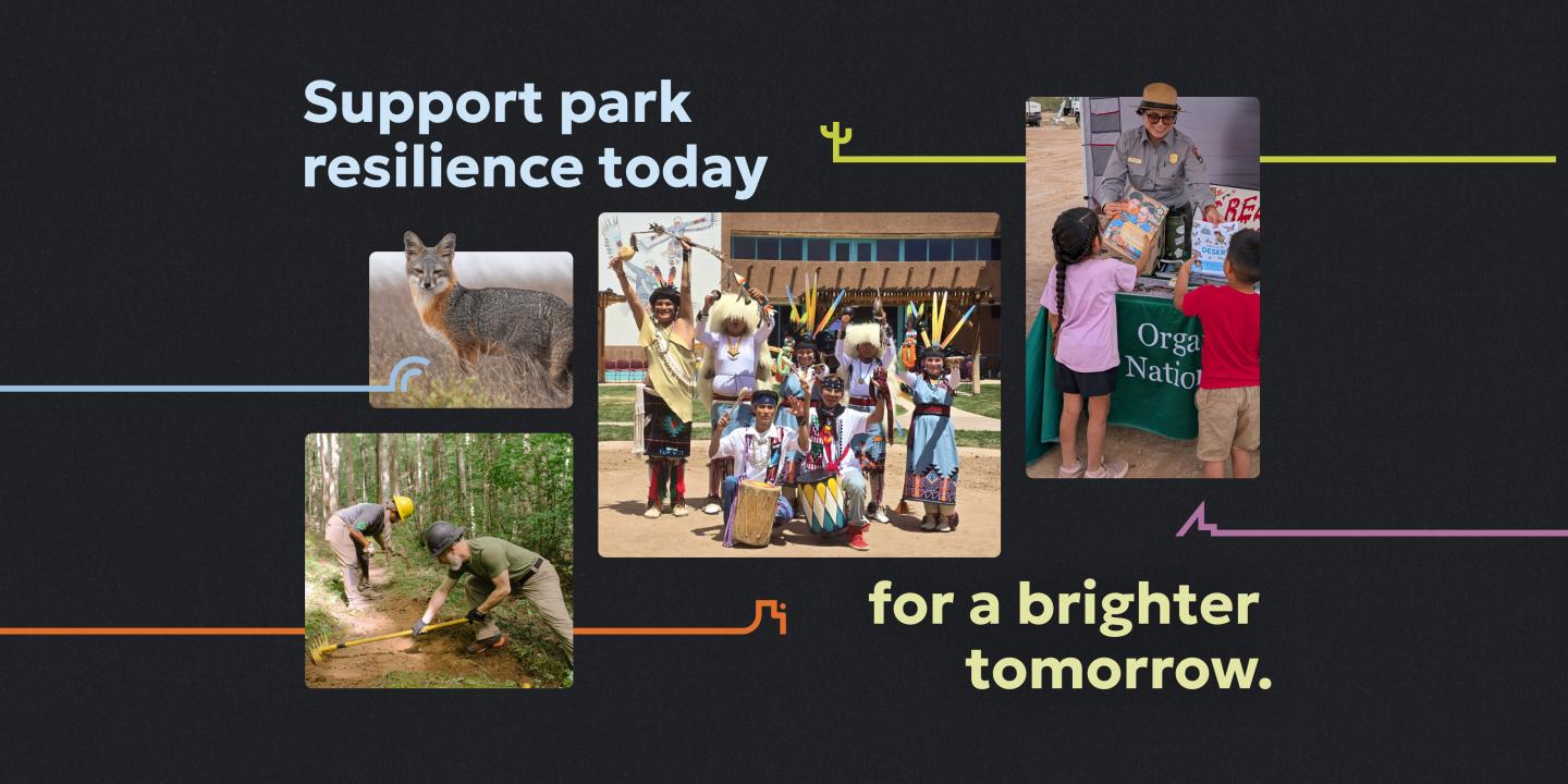 Collage of park activities: wildlife, group, ranger, children planting.