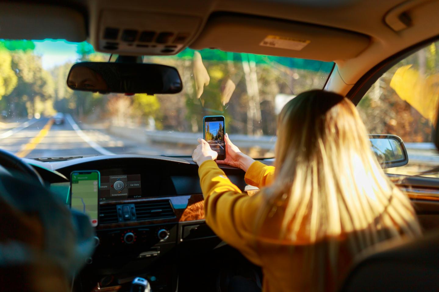 Person taking picture in a car, driving along a sunny forest road.
