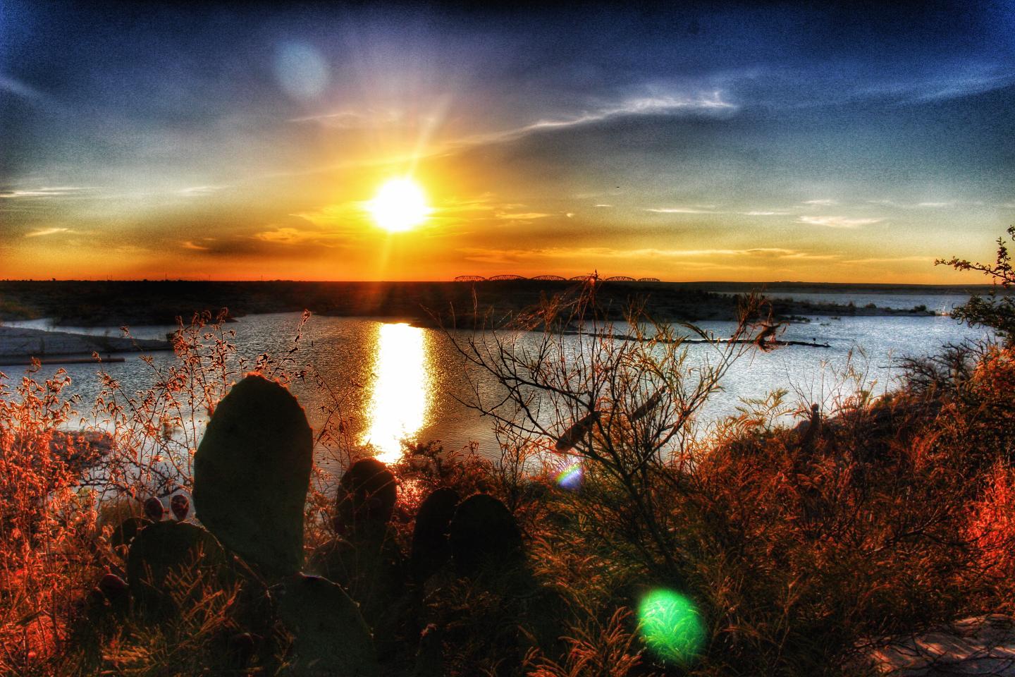 Sunset over a lake with silhouetted cacti and vibrant sky reflections.