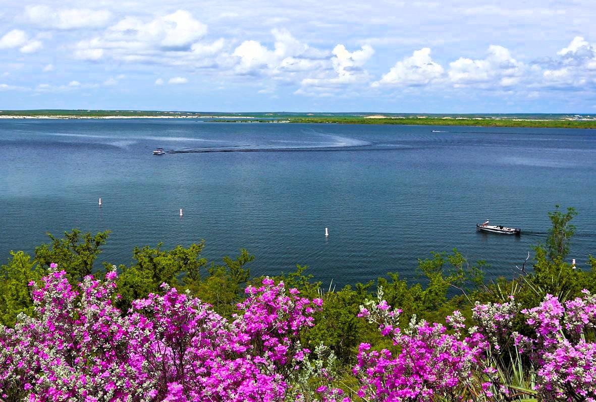 Purple flowers in foreground, overlooking a calm blue lake with a boat and distant shore.
