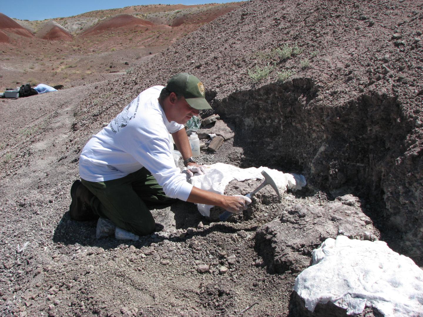 Person excavating a fossil in a desert landscape, wearing a cap and white shirt.