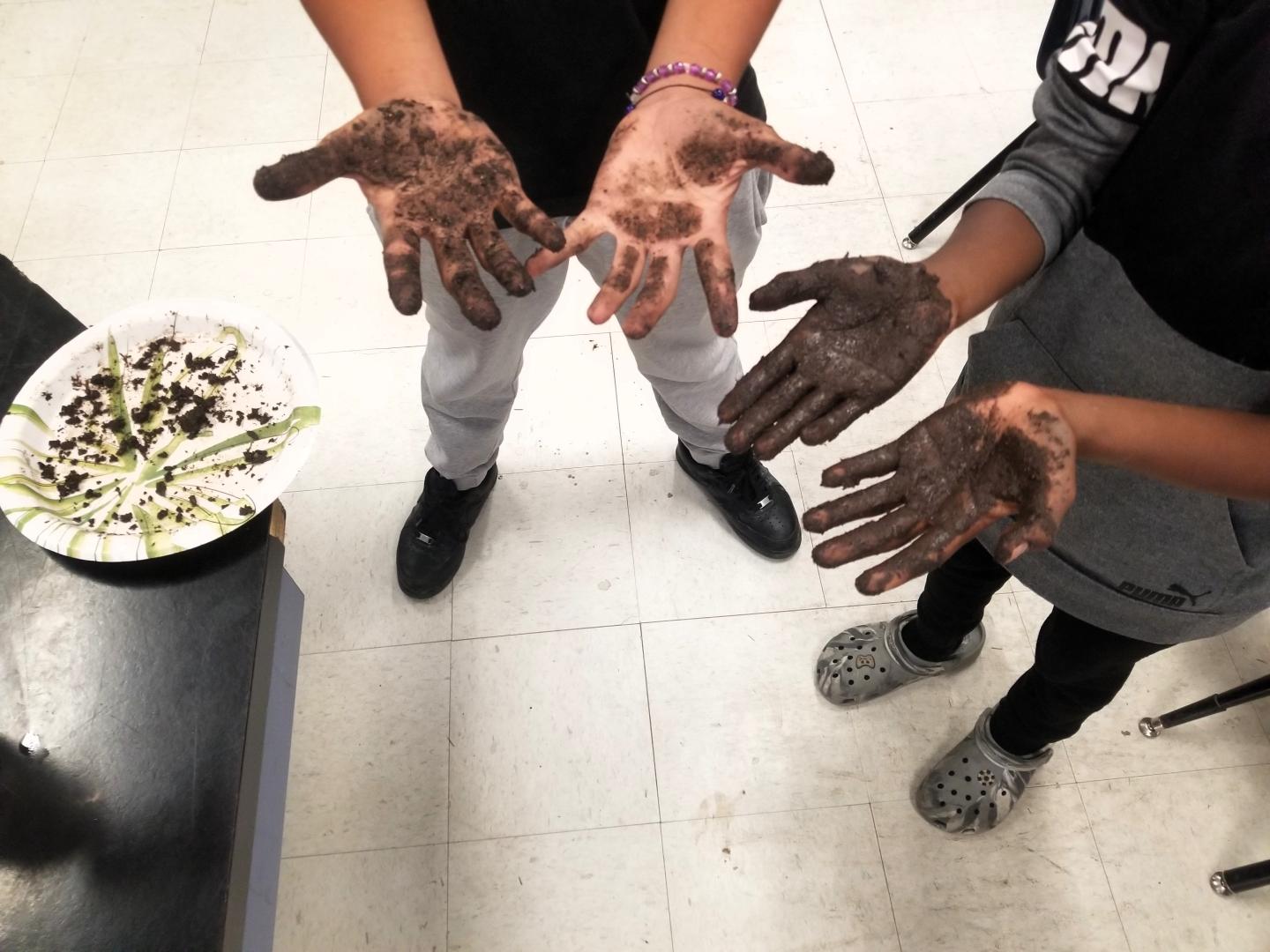 Hands covered in dirt, over a tiled floor, next to a plate of hay and seeds.