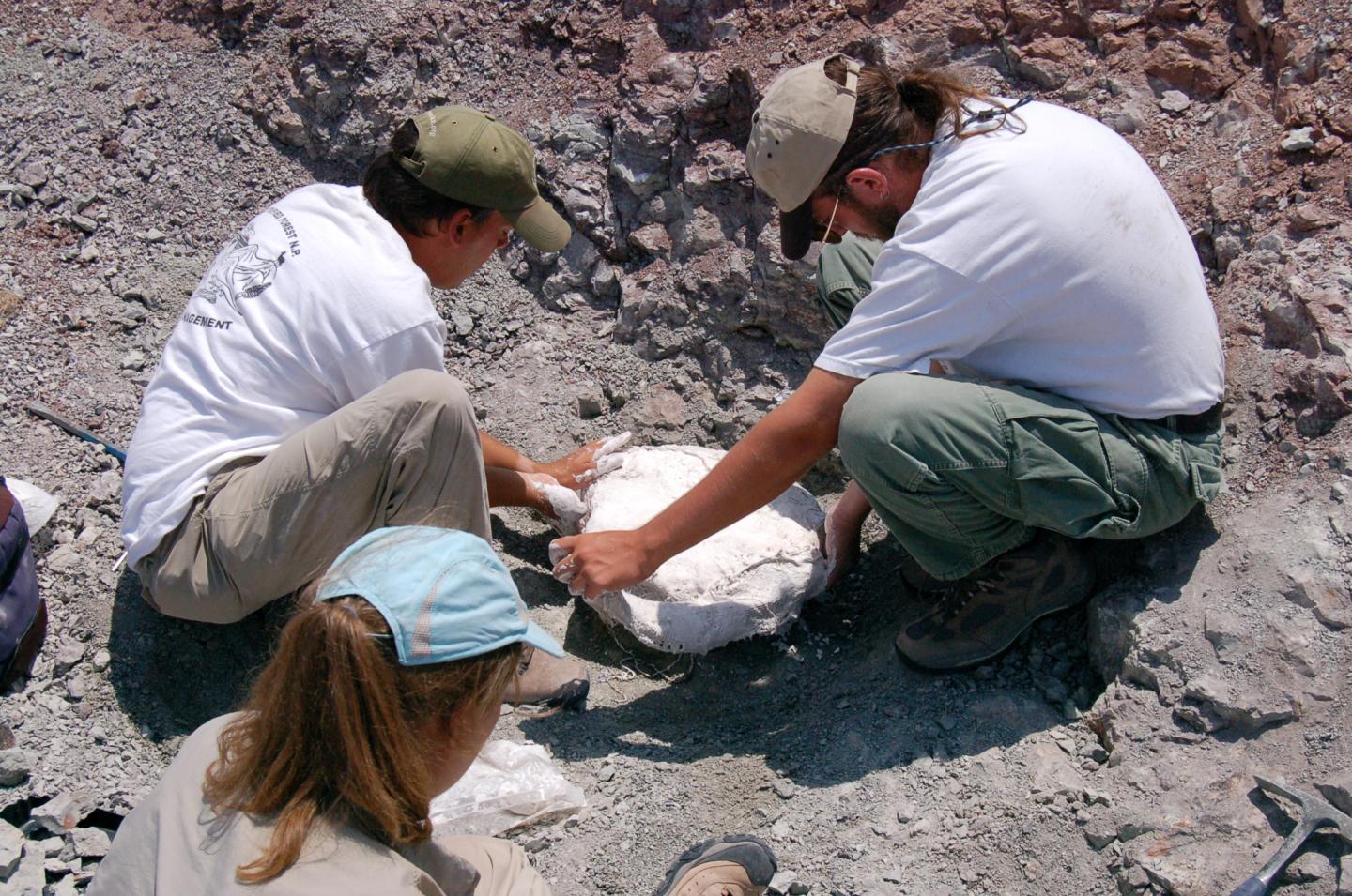 Three people excavating a fossil in a rocky area.