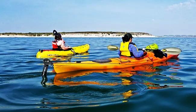 Two people kayaking on a calm blue sea under a clear sky.