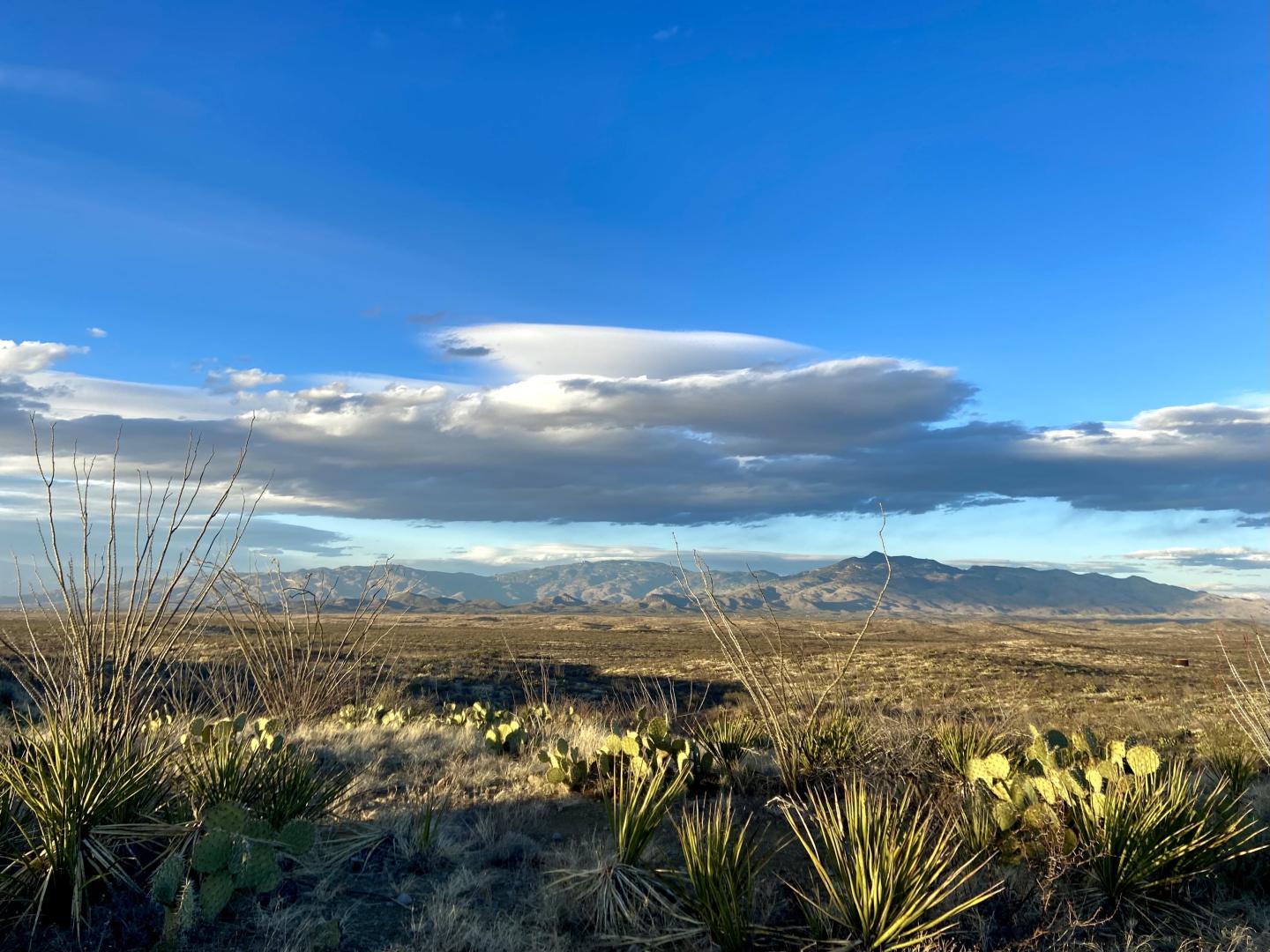 Desert landscape with cacti, distant mountains, and a blue sky with clouds.