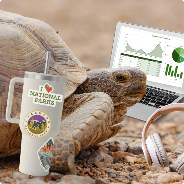 Desert tortoise with laptop, headphones, and metal water bottle