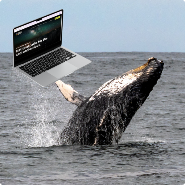 Breaching whale holding a laptop above ocean waves.