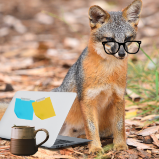 Fox wearing glasses sits by a laptop and mug outdoors.